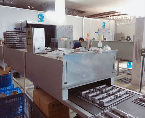 韶關(guān)佳信家電噴漆加工廠 資本投資咨詢與行業(yè)前景分析