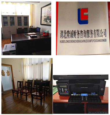 湖北隆誠財務(wù)咨詢服務(wù) 專業(yè)賦能，助力企業(yè)穩(wěn)健發(fā)展