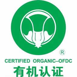 精品推薦 石家莊快易企業(yè)管理咨詢(xún)中心 – 專(zhuān)業(yè)高效的企業(yè)管理咨詢(xún)伙伴