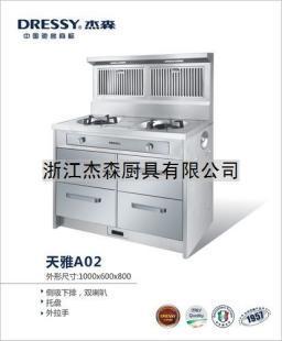 杰森天雅A02集成灶 高性價(jià)比之選與廠家直供渠道探索